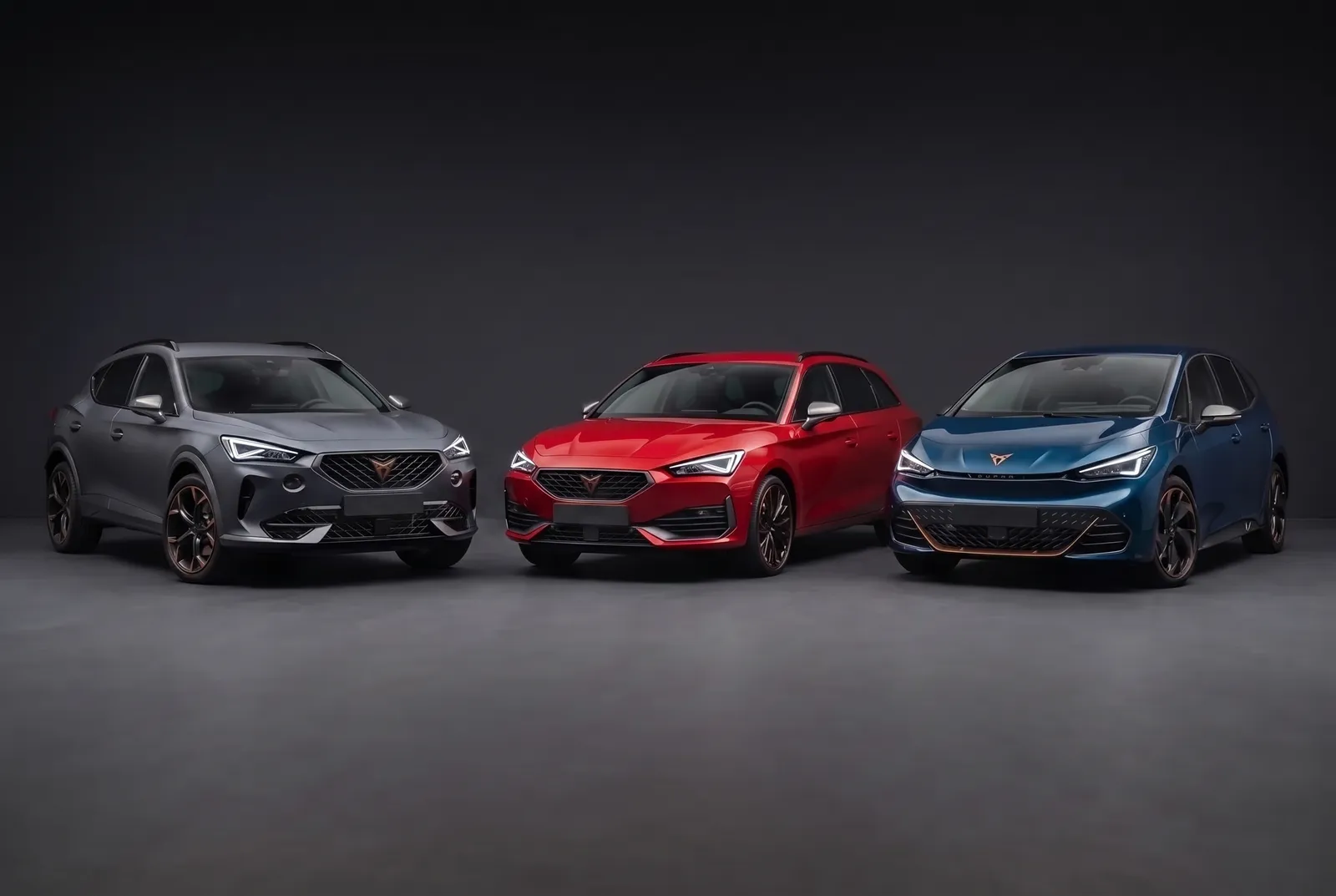 Een Cupra zoals wij die inkopen